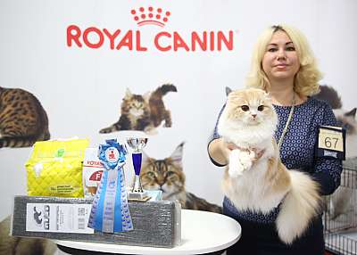 �������� �����  24-25 ��������  3-67-169A0248.jpg