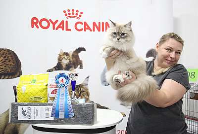 �������� �����  24-25 ��������  4-79-169A0245.jpg