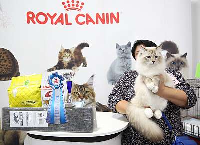 �������� �����  24-25 ��������  6-86-169A0231.jpg