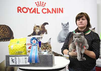 �������� �����  24-25 ��������  7-101-169A0227.jpg