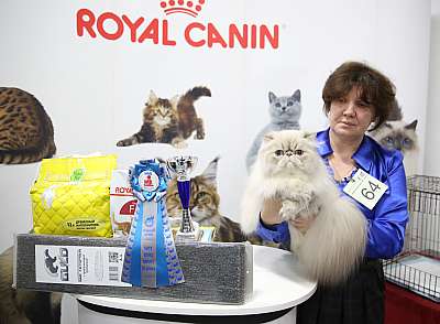 �������� �����  24-25 ��������  9-64-169A0211.jpg