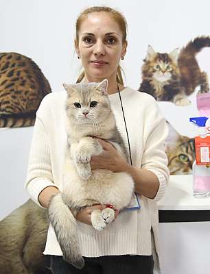 �������� �����  24-25 ��������1-97-169A8565.jpg