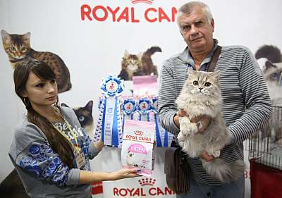 �������� �����  24-25 ��������10-73-169A8522.jpg