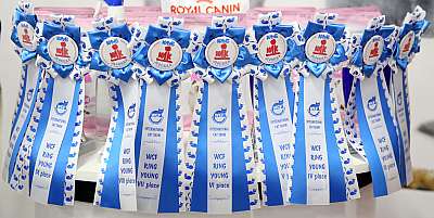 �������� �����  24-25 ��������  11-169A8140.jpg