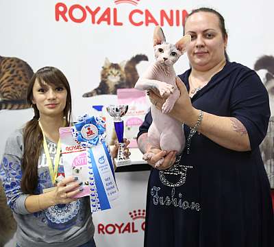 �������� �����  24-25 ��������2-128-169A8561.jpg