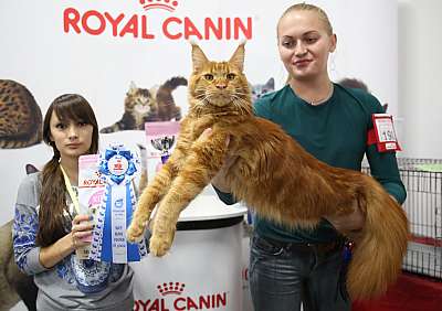 �������� �����  24-25 ��������3-198-169A8559.jpg