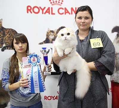 �������� �����  24-25 ��������4-69-169A8552.jpg