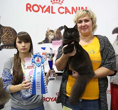 �������� �����  24-25 ��������5-83-169A8549.jpg