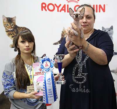 �������� �����  24-25 ��������6-133-169A8545.jpg