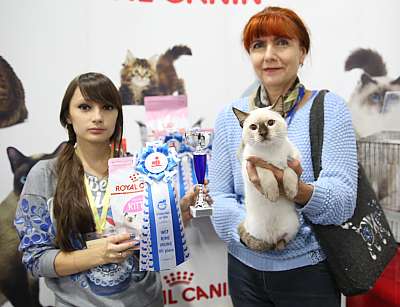 �������� �����  24-25 ��������7-173-169A8541.jpg