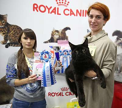 �������� �����  24-25 ��������8-44-169A8538.jpg