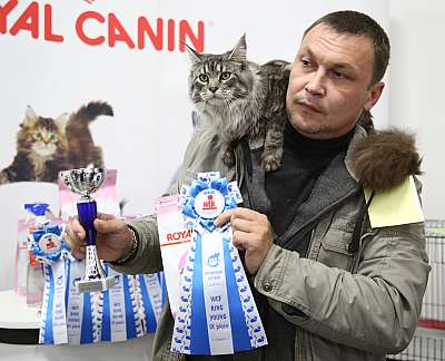 �������� �����  24-25 ��������9-54-169A8530.jpg