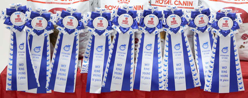 �������� �����  24-25 ��������  11-169A0502.jpg