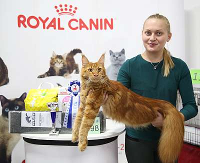 �������� �����  24-25 ��������  2-198-169A0763.jpg