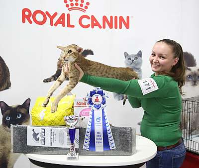 �������� �����  24-25 ��������  6-171-169A0770.jpg