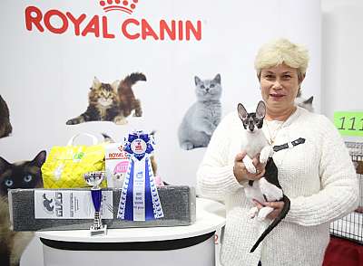 �������� �����  24-25 ��������  7-140-169A0754.jpg