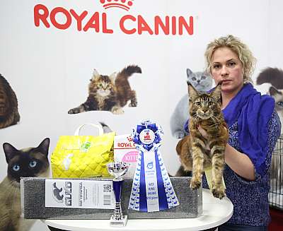 �������� �����  24-25 ��������  8-23-169A0743.jpg