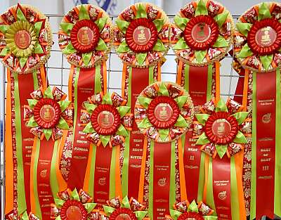 �������� ����� 29-30 ������� 2016 �. 0-169A6466.jpg