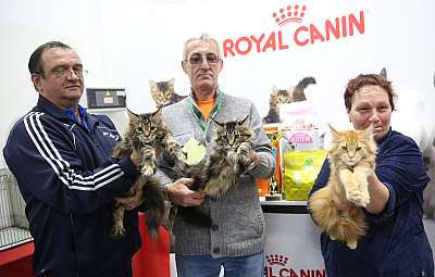 �������� ����� 29-30 ������� 2016 �. 13-1-169A8270.jpg