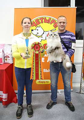 �������� ����� 29-30 ������� 2016 �. 4-67-169A8358.jpg