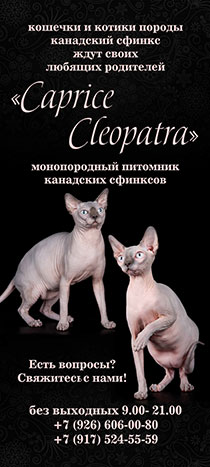 �������� ��������� �������� CapriceCleopatra