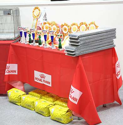 �������� ����� 29-30 ������� 2016 �. 0-169A6470.jpg