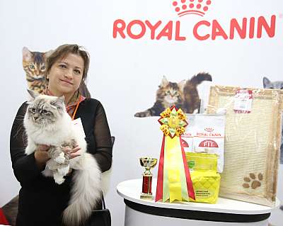 �������� ����� 29-30 ������� 2016 �. 5-69-169A9062.jpg