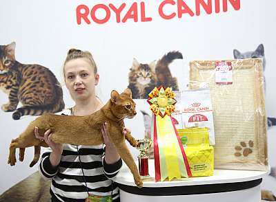 �������� ����� 29-30 ������� 2016 �. 7-94-169A9050.jpg