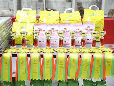 �������� ����� 29-30 ������� 2016 �. 0-169A6711.jpg