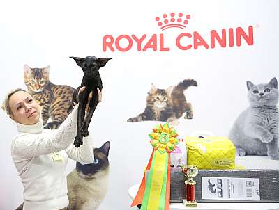 �������� ����� 29-30 ������� 2016 �. 4-141-169A7242.jpg