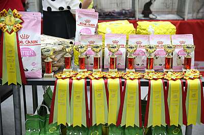 �������� ����� 29-30 ������� 2016 �. 0-169A9477.jpg