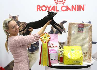 �������� ����� 29-30 ������� 2016 �. 1-141-169A9638.jpg