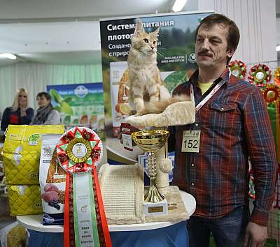 �������� �����  17-18 �������  11-152-169A0890 copy.jpg