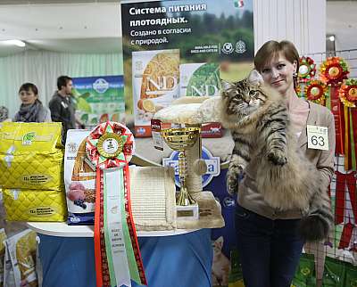 �������� �����  17-18 �������  9-63-169A0896.jpg