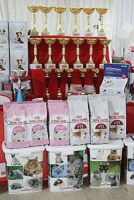 �������� �����  17-18 ������� 2016  0-169A9293.jpg