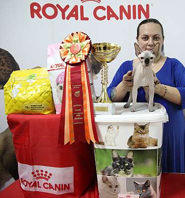 �������� �����  17-18 ������� 2016  10-115-169A2546 copy.jpg