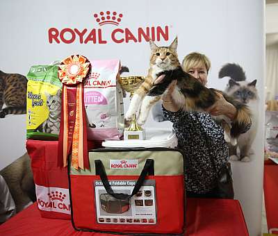 �������� �����  17-18 ������� 2016  11-168-169A2529.jpg