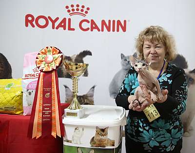 �������� �����  17-18 ������� 2016  12-113-169A2525.jpg