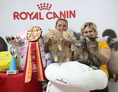 �������� �����  17-18 ������� 2016  13-54-169A2522.jpg