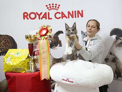 �������� �����  17-18 ������� 2016  14-170-169A2513.jpg