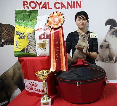 �������� �����  17-18 ������� 2016  2-147-169A2586.jpg