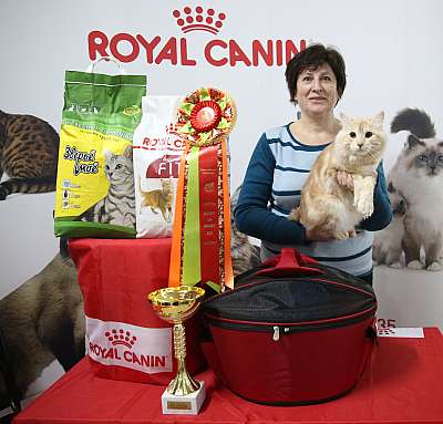 �������� �����  17-18 ������� 2016  3-47-169A2583.jpg