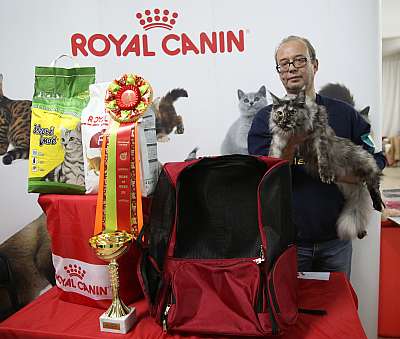 �������� �����  17-18 ������� 2016  4-19-169A2578.jpg