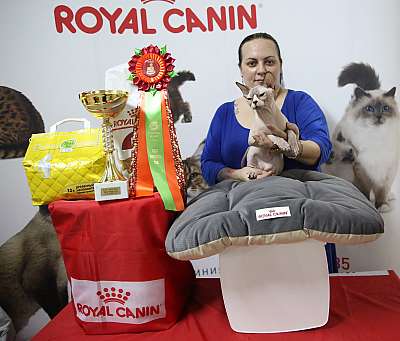 �������� �����  17-18 ������� 2016  6-109-169A2570.jpg