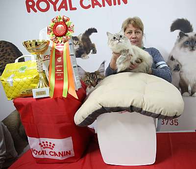 �������� �����  17-18 ������� 2016  7-57-169A2560.jpg