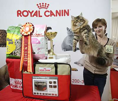 �������� �����  17-18 ������� 2016  9-63-169A2537.jpg