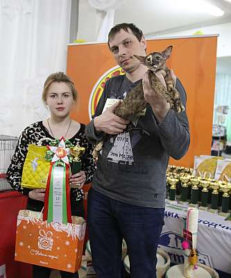 �������� �����  17-18 �������  10-132-169A0643 copy.jpg