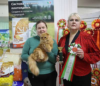 �������� �����  17-18 �������  3-51-169A0713 copy.jpg