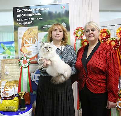 �������� �����  17-18 �������  7-60-169A0665 copy.jpg