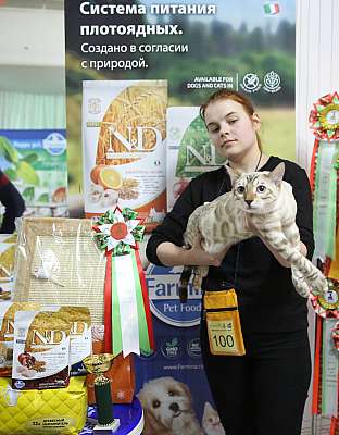 �������� �����  17-18 �������  9-100-169A0648 copy.jpg